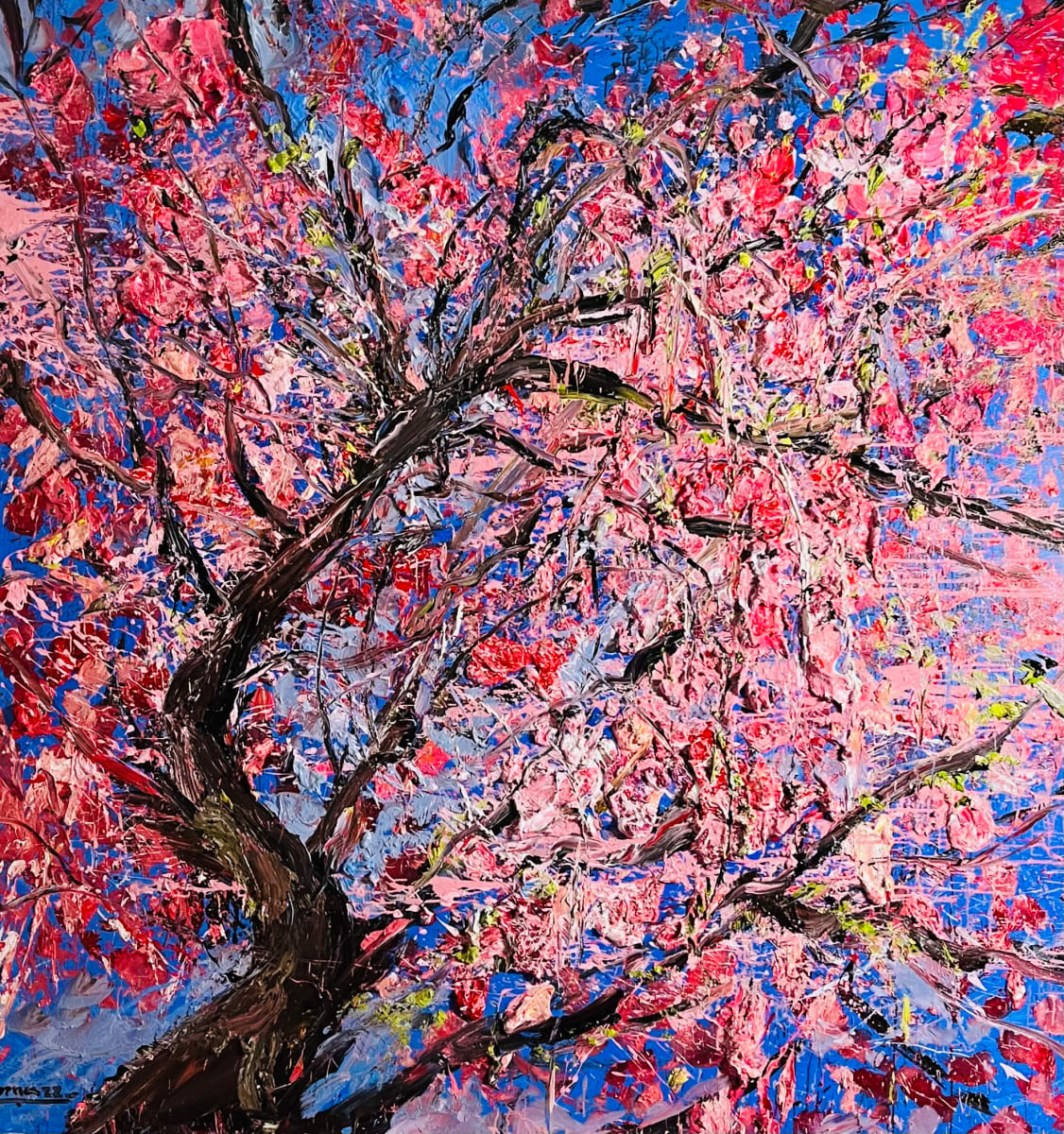 Cherry Blossom by Eric Alfaro 