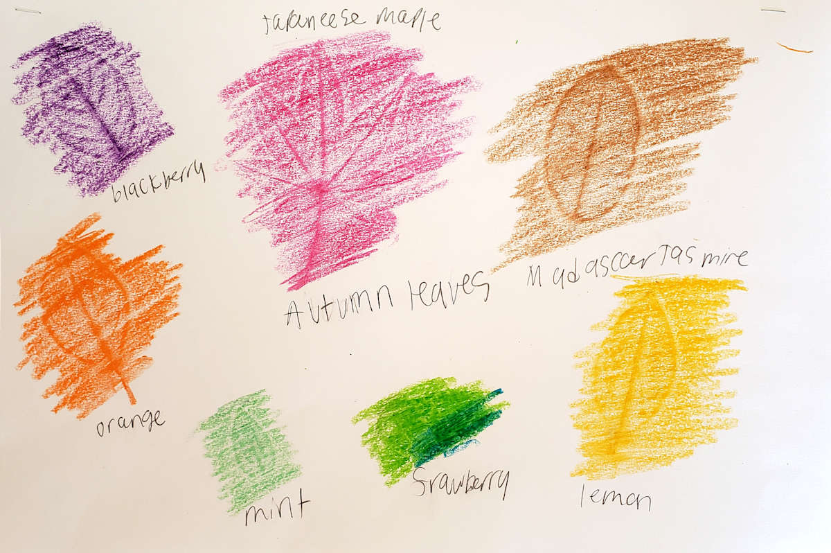 Jillian Medina, Autumn Leafs, Image 1.
