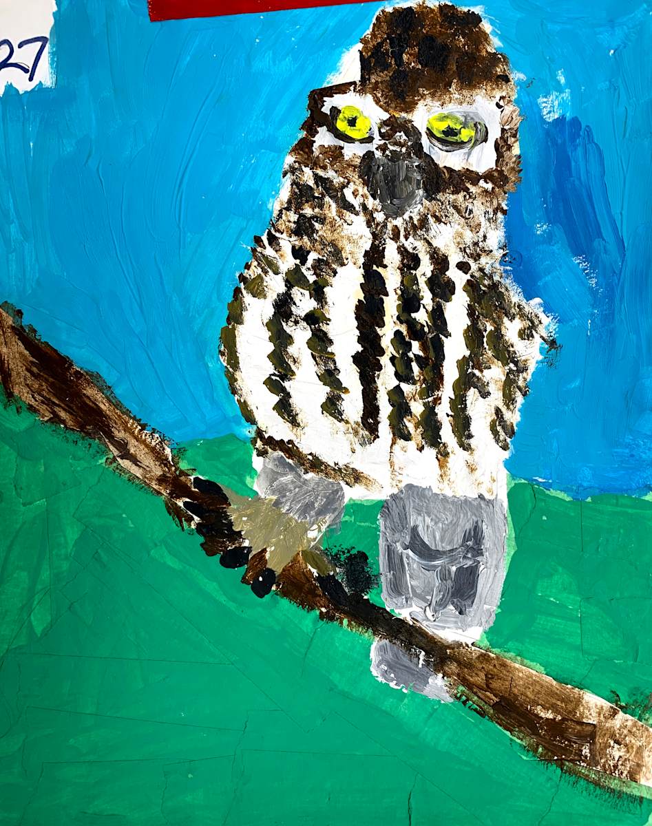 Terra Clendening, Elf Owl, Image 62.