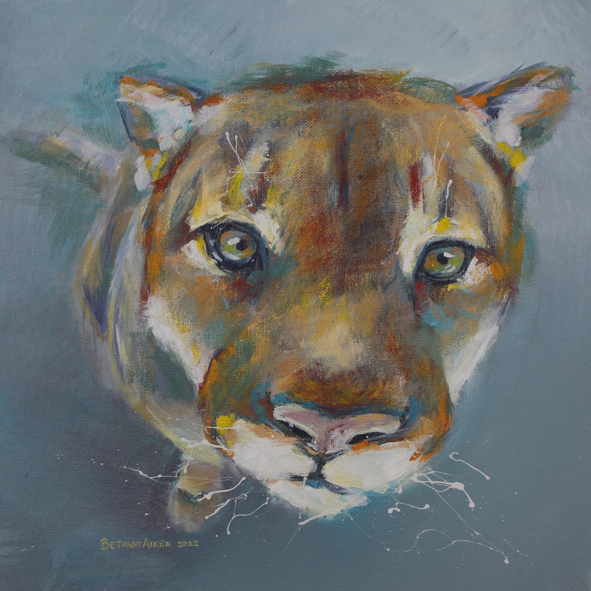 Bailey by Bethany Aiken  Image: Cougar