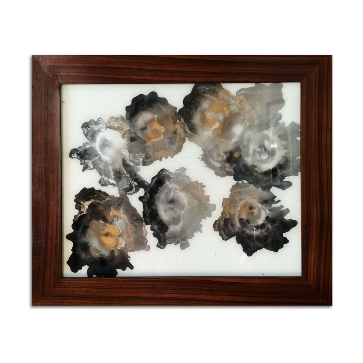 Reflections by J. Kent Martin, Image 2.