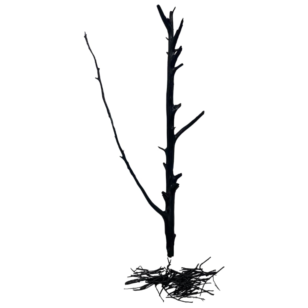 Devolution II by Lil Olive 