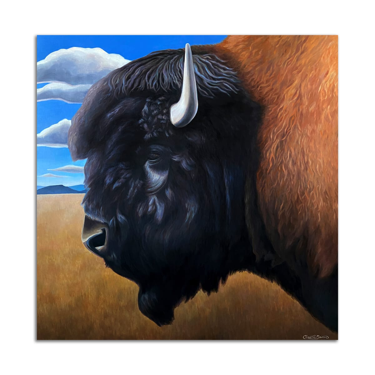 American Bison by Christie Snelson 