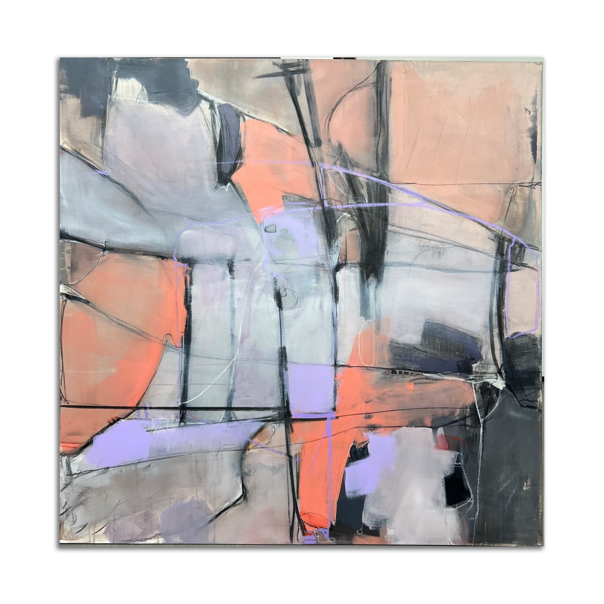 Elevation by Annie Donohue 