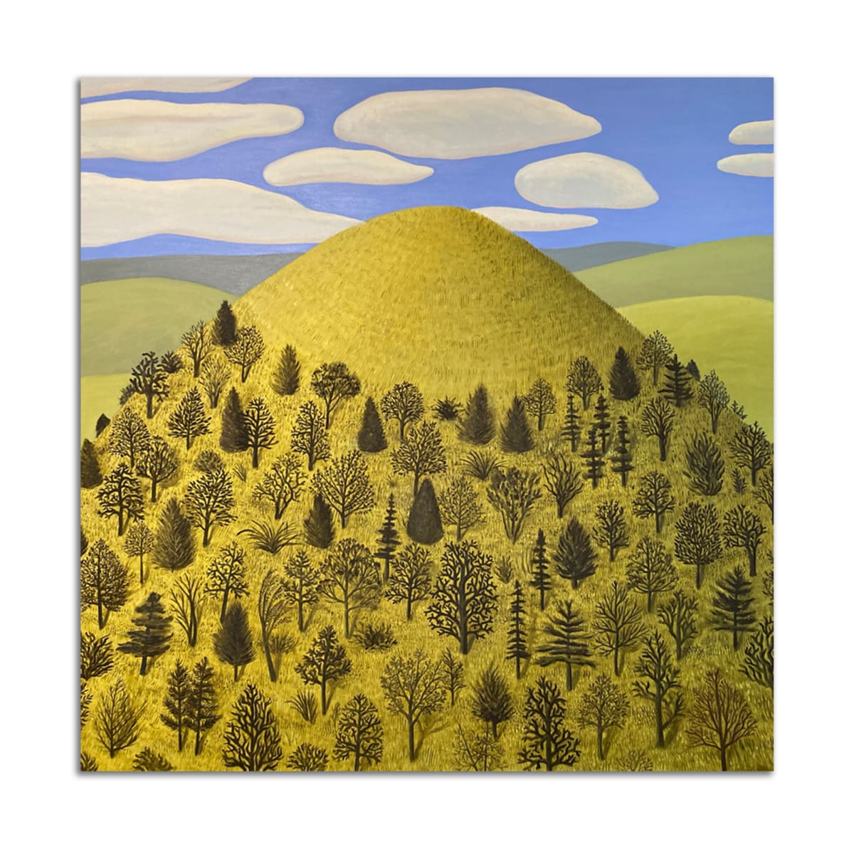 Bald Knob by Jane Troup 