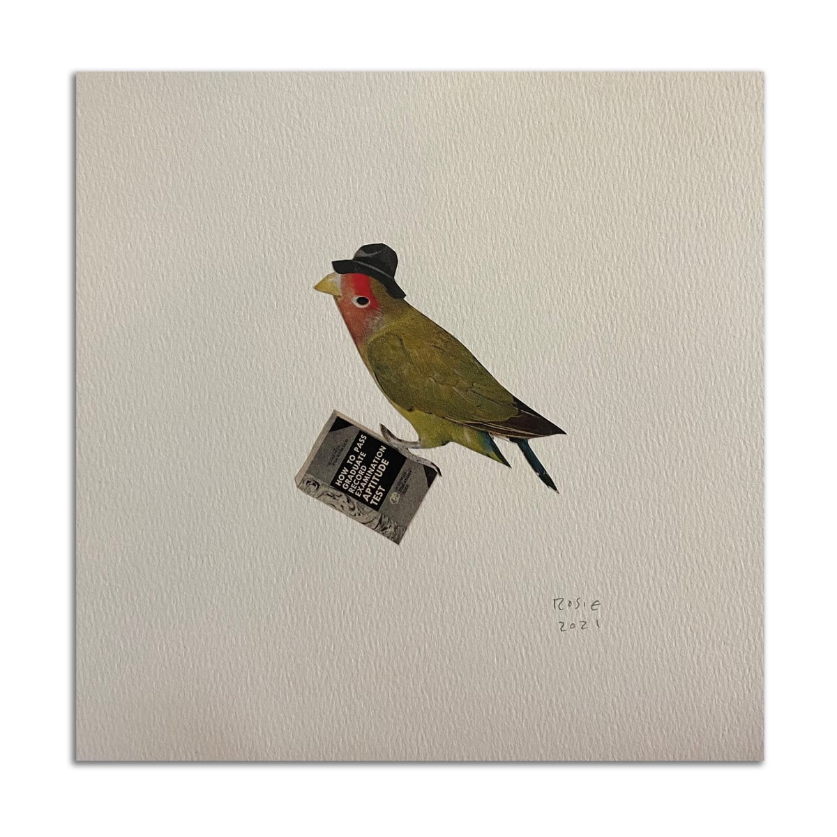 Bird Studying by Rosie Winstead 