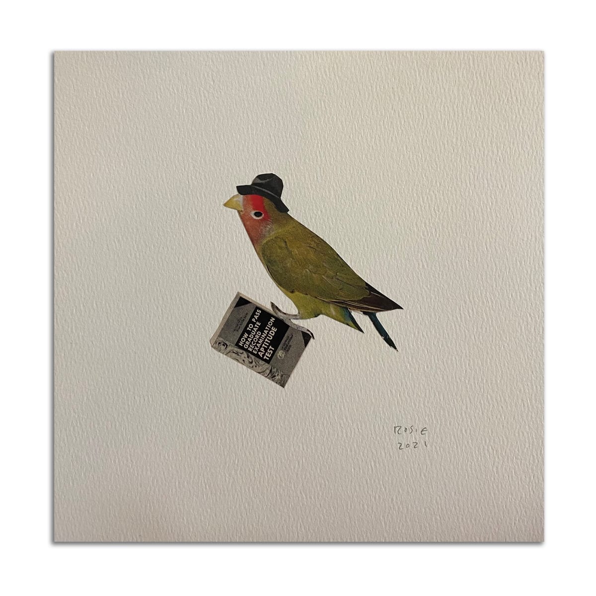 Bird Studying by Rosie Winstead 