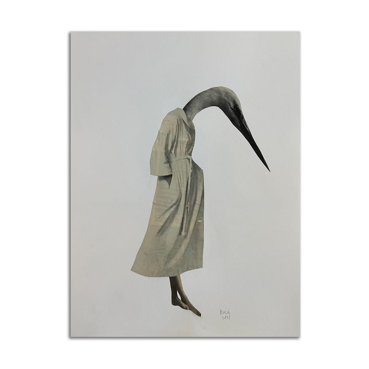 Bird in Robe by Rosie Winstead 