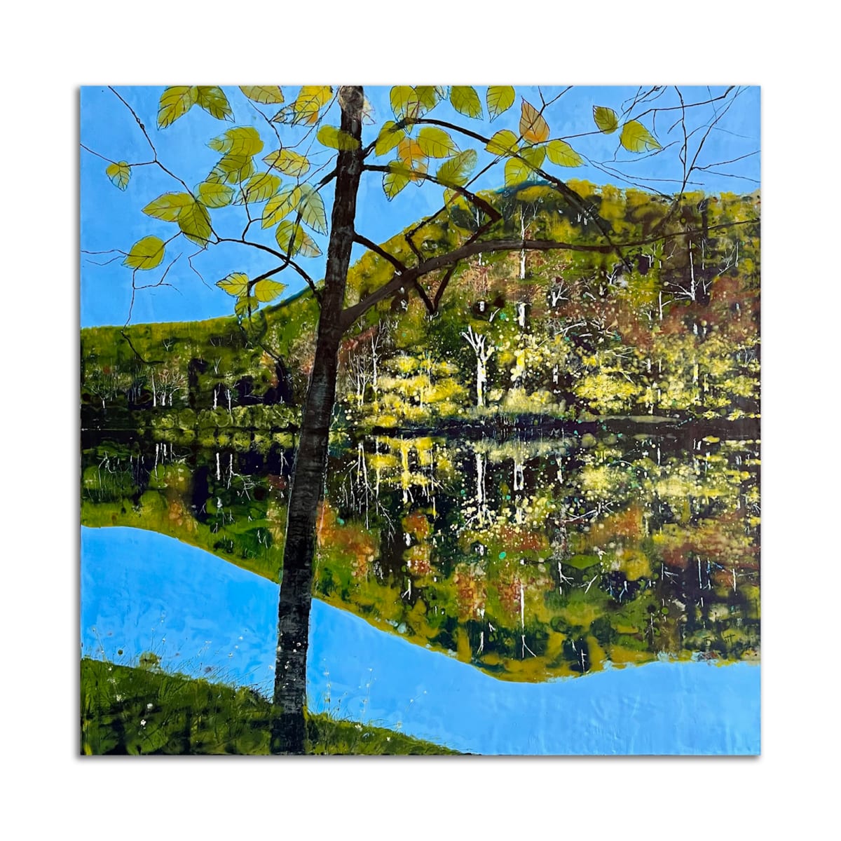 Black Bass Lake by T.D. Scott 