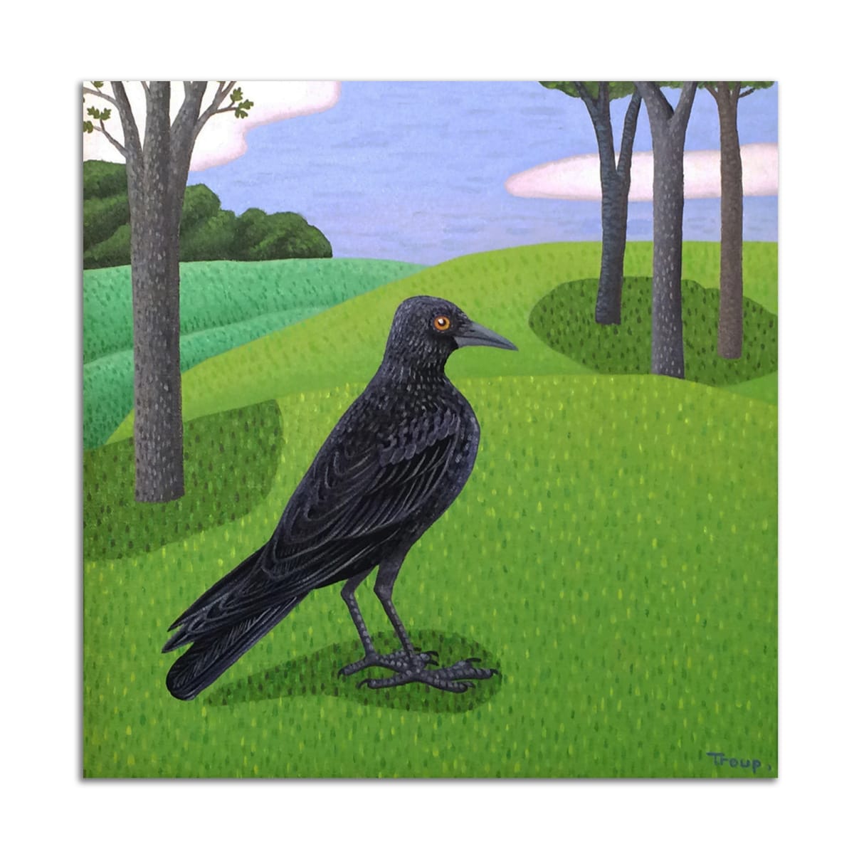 Black Bird by Jane Troup 