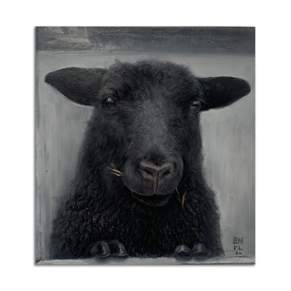 Black Sheep by Brad Noble x François Larivière 