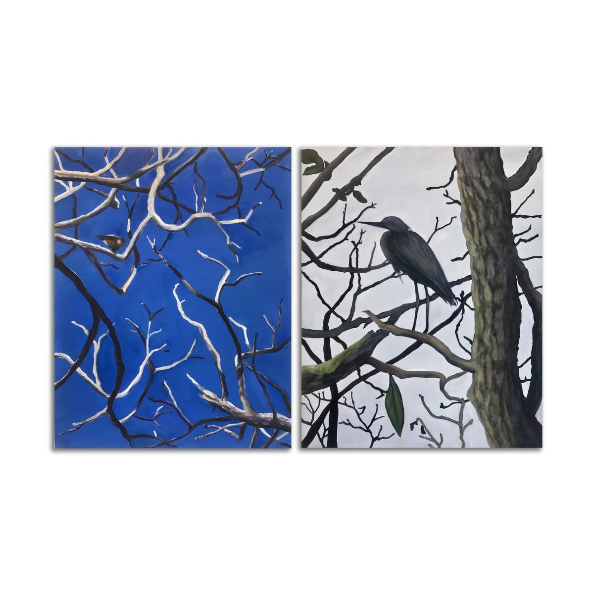 Blue Sky/White Sky-Diptych by Lil Olive 