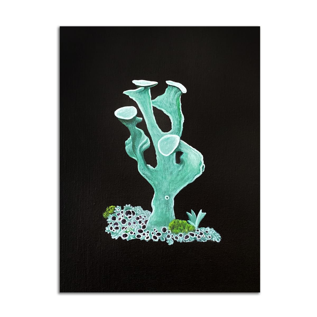 Boxer Lichen by Jane Troup, Image 1.