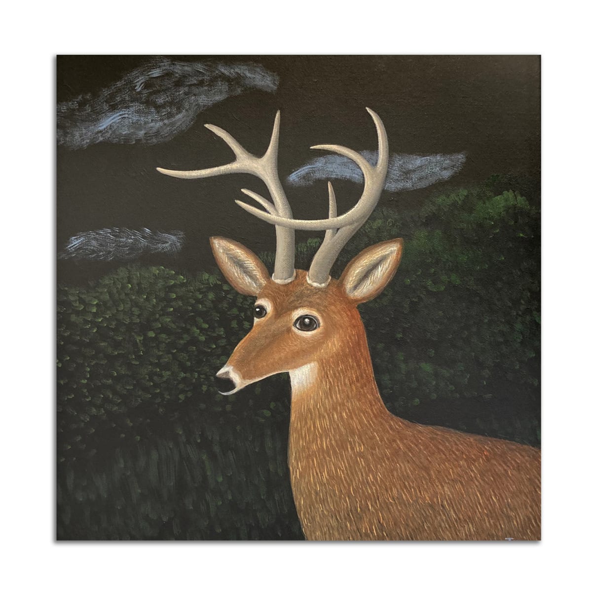 Buck by Jane Troup, Image 1.