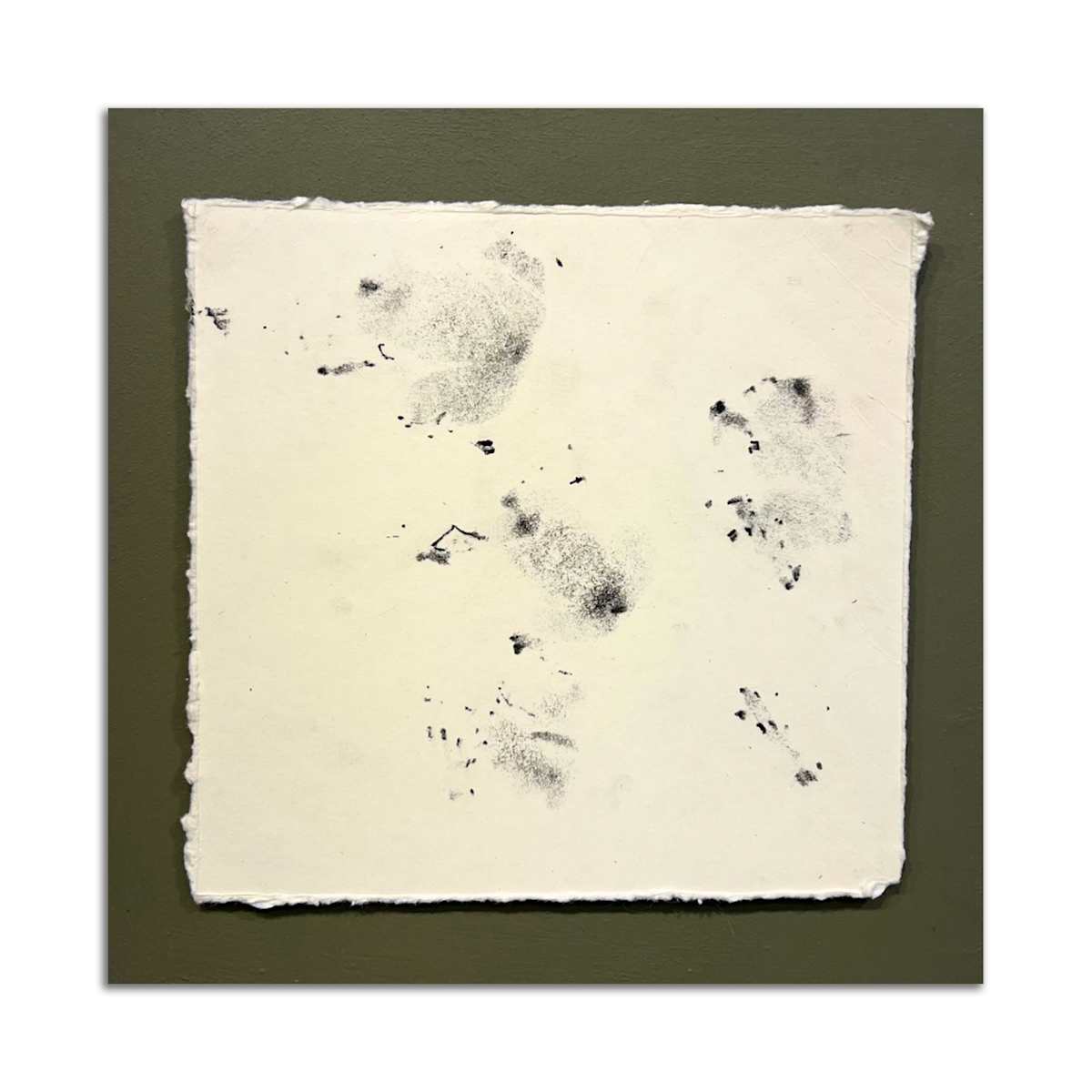 September 5th, 2024.  Lost Hill Park; Dry  Sac River. 10:13 pm.  American Bullfrog. by Camryn Gulledge 