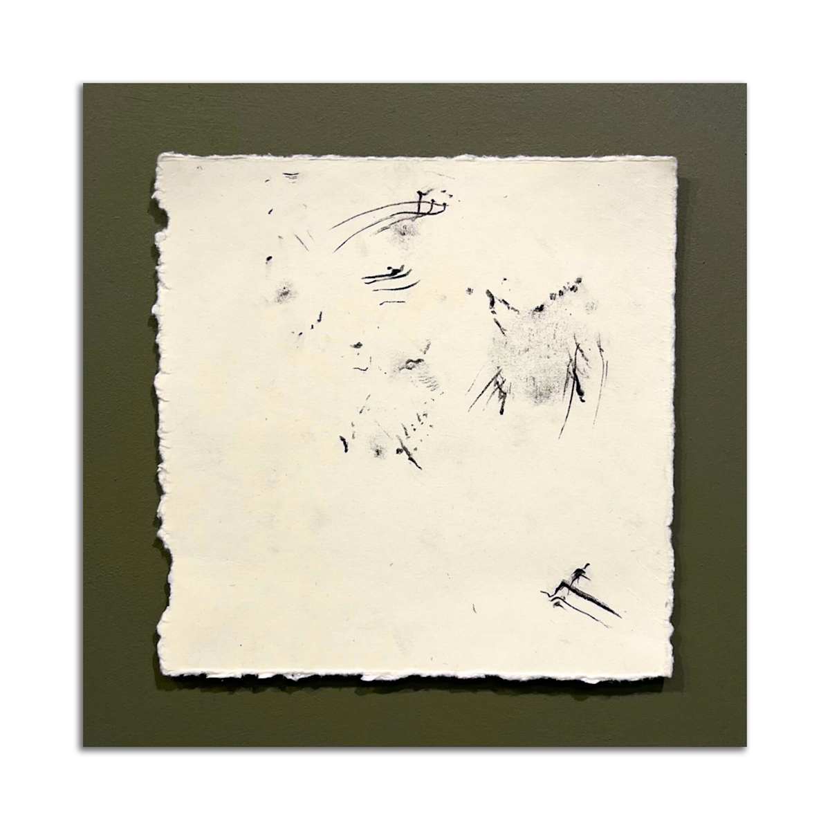 September 5th, 2024.  Lost Hill Park; Dry  Sac River. 9:58 pm.  American Toad. by Camryn Gulledge 