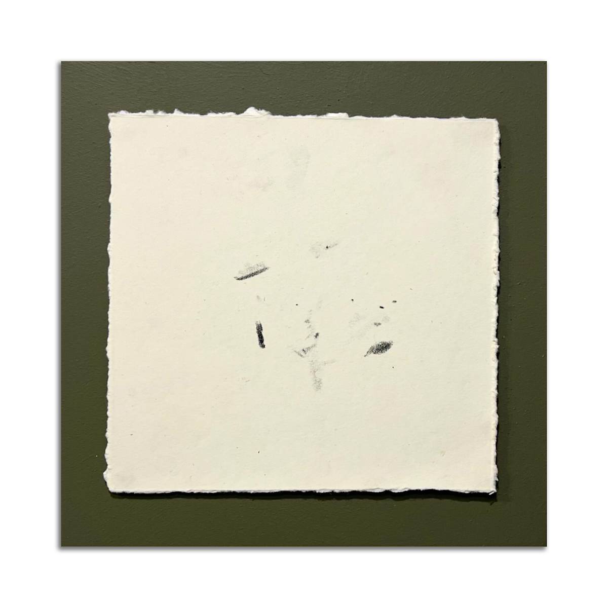 October 17th, 2024.  Lost Hill Park; South  Dry Sac River. 11:17 pm.  Southern Redbelly by Camryn Gulledge 