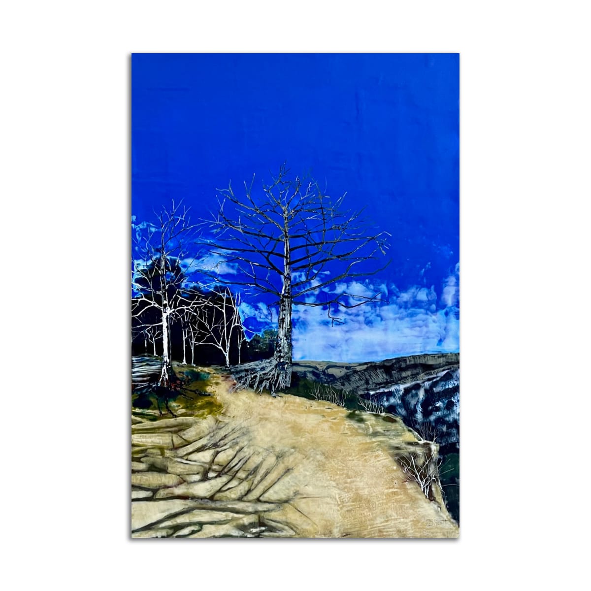 Cedar at Yellow Rock by T.D. Scott 