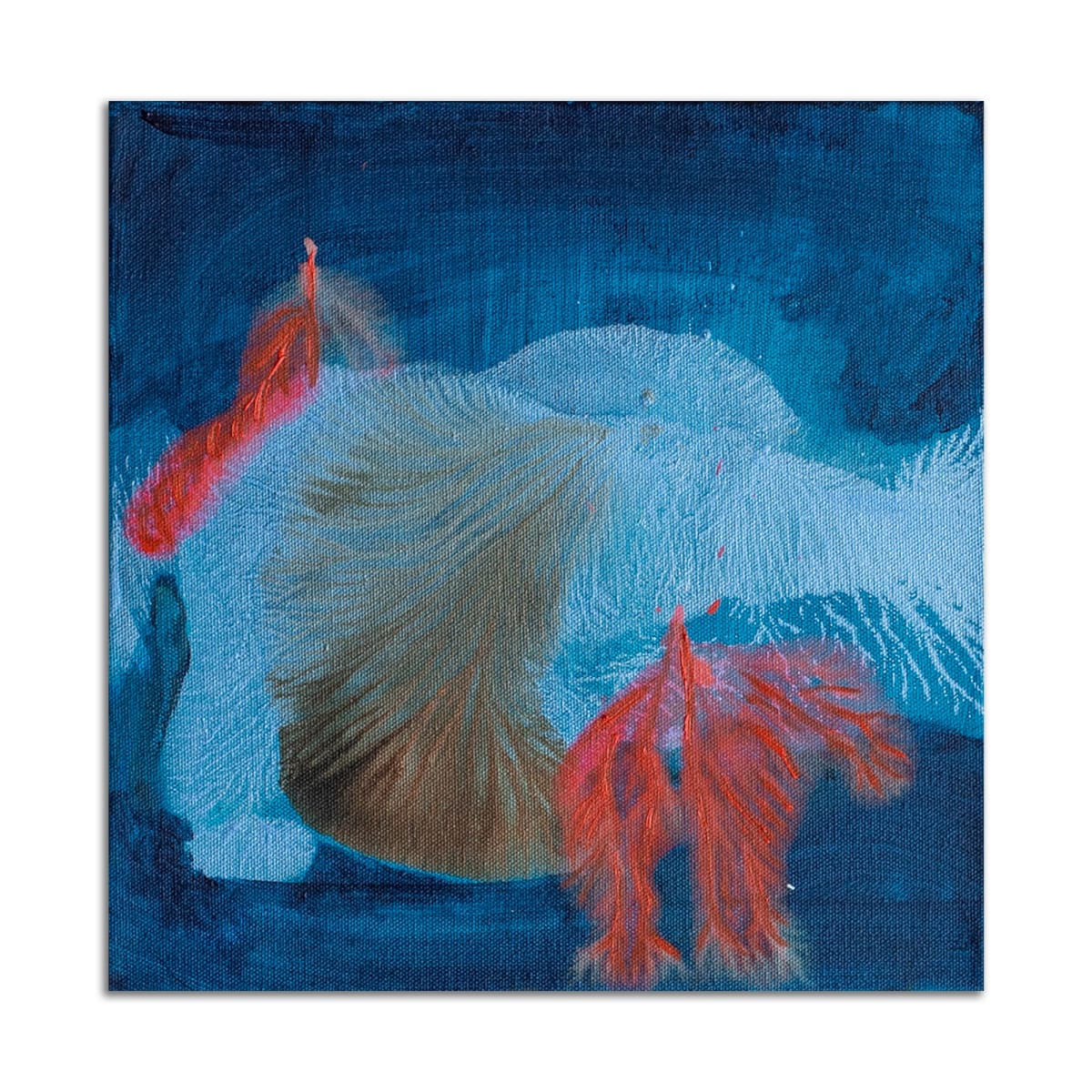 Cereus III by Meganne Rosen, Image 1.
