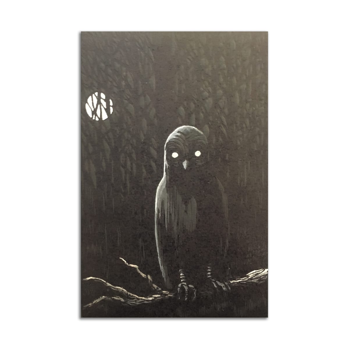 Owl by Chad Woody 