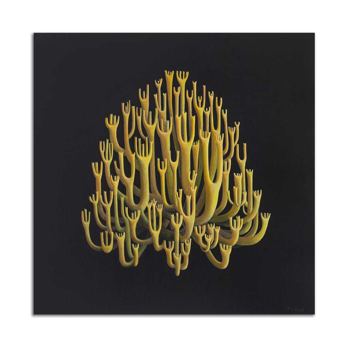 Community by Jane Troup, Image 1.