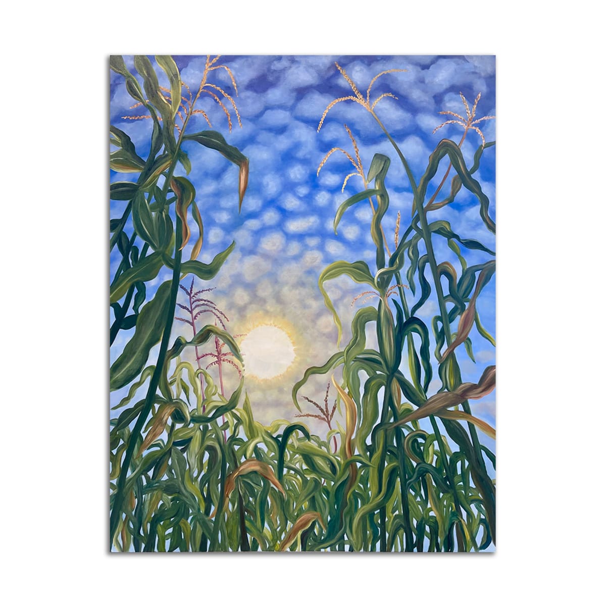 Corn by Lil Olive, Image 1.