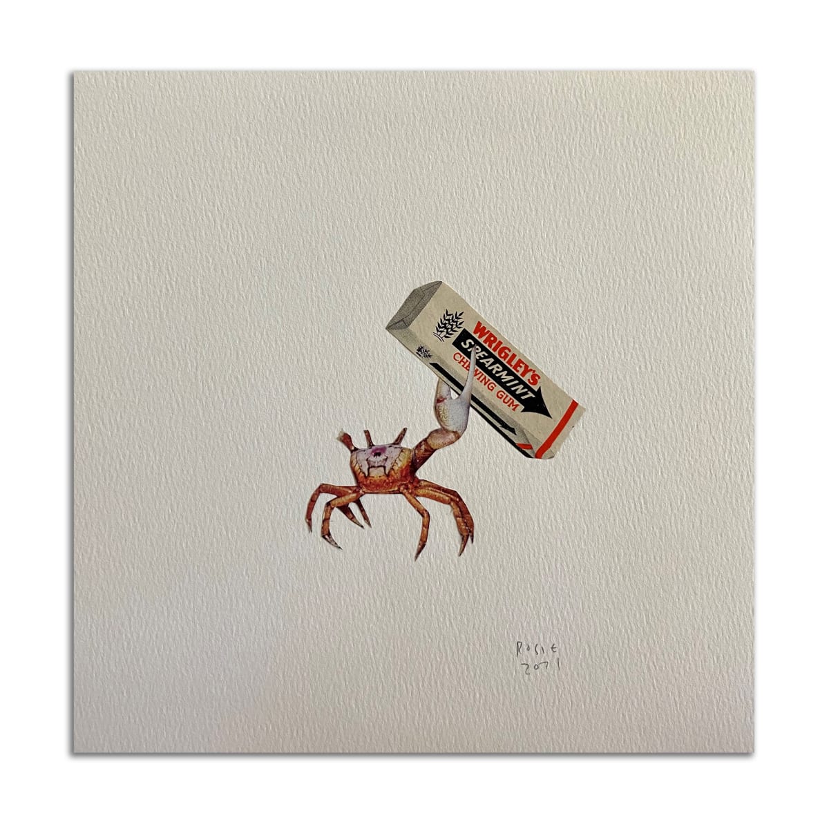 Crab with Gum by Rosie Winstead 