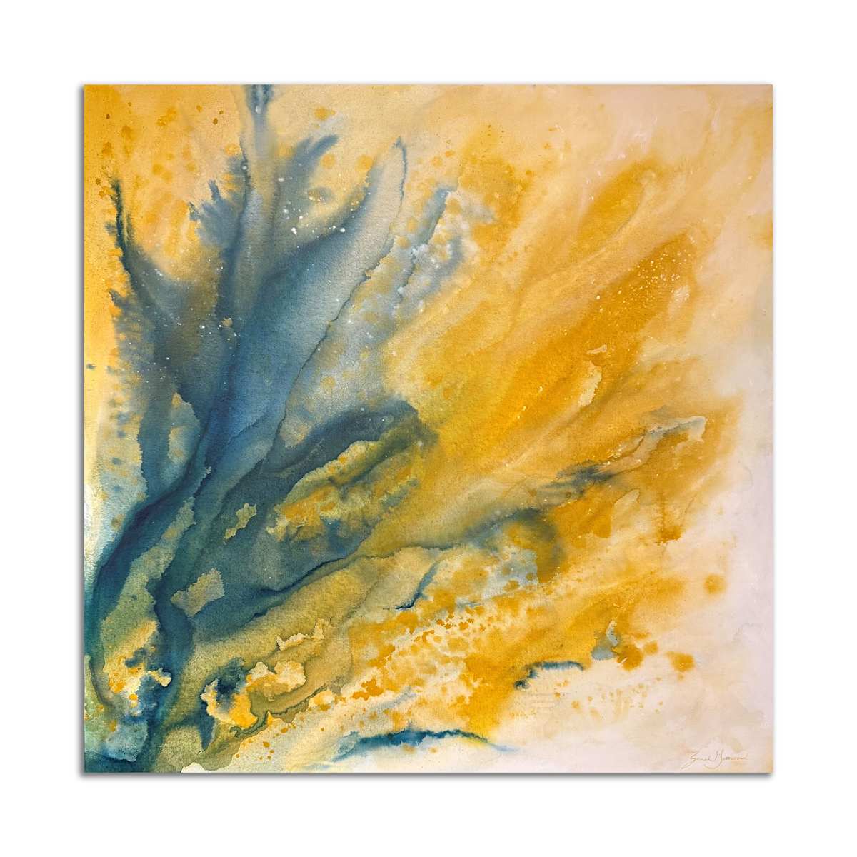 Dancing Iris by Sarah Gatewood 