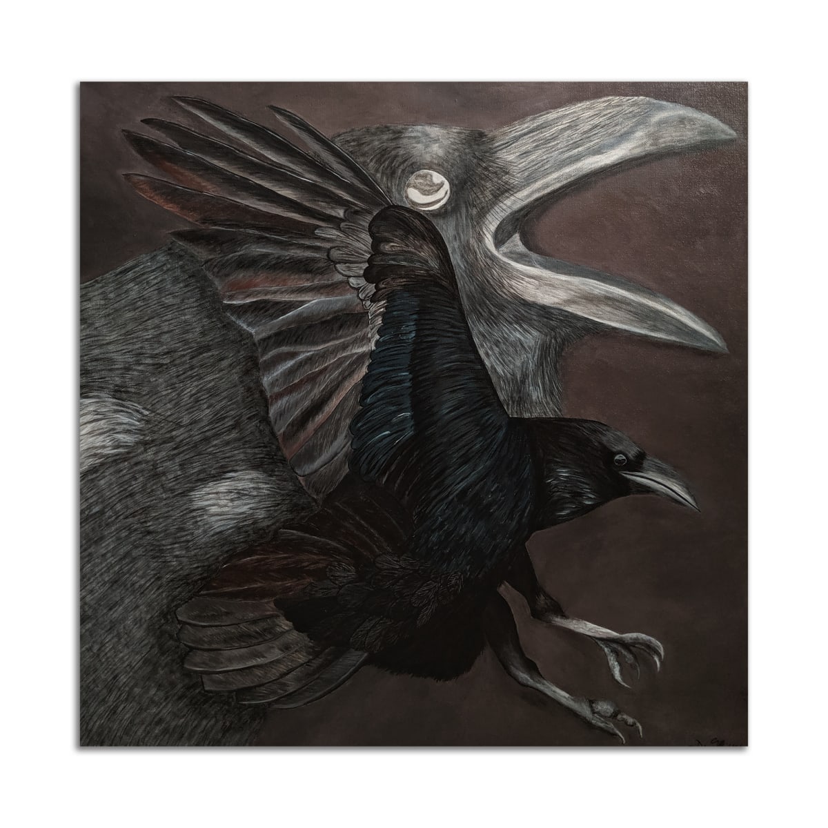 Huginn and Muninn by Dawna Middleton 