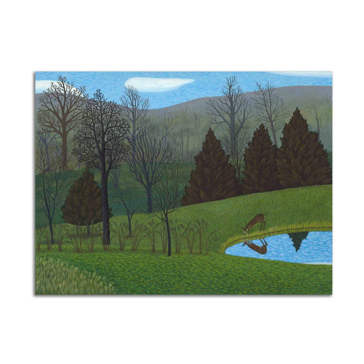 Deer at Pond by Jane Troup 