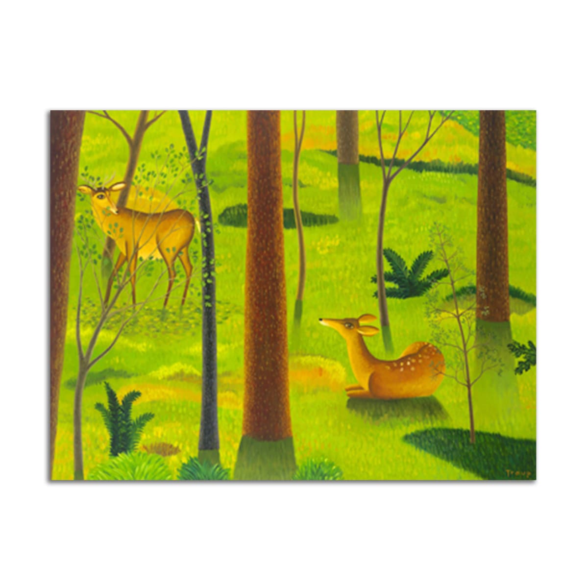 Deer in Woods by Jane Troup 