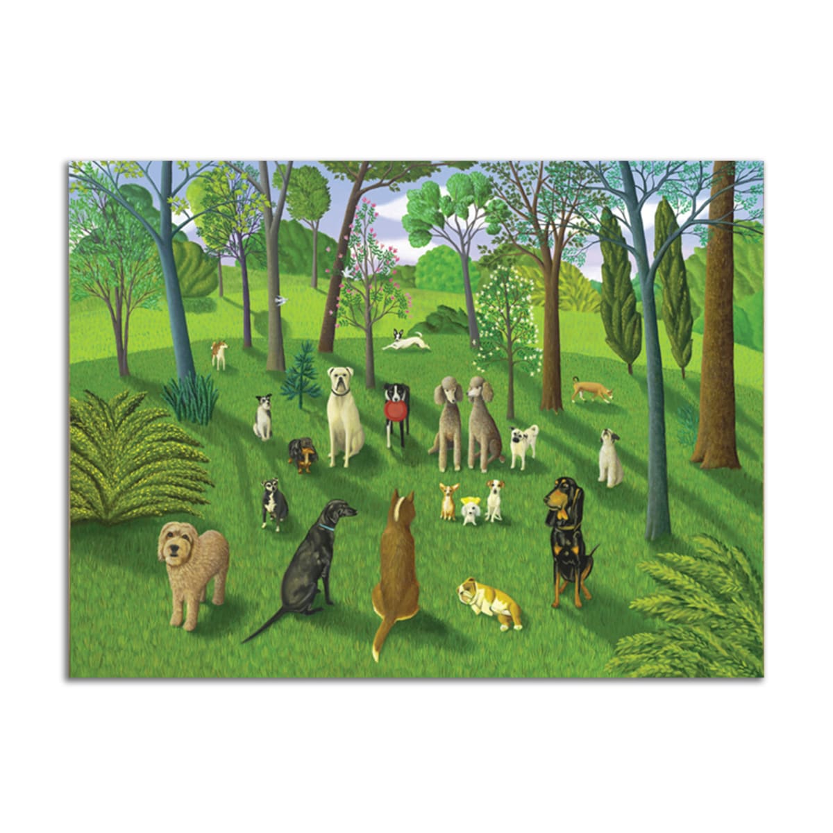 Dog Park III by Jane Troup 