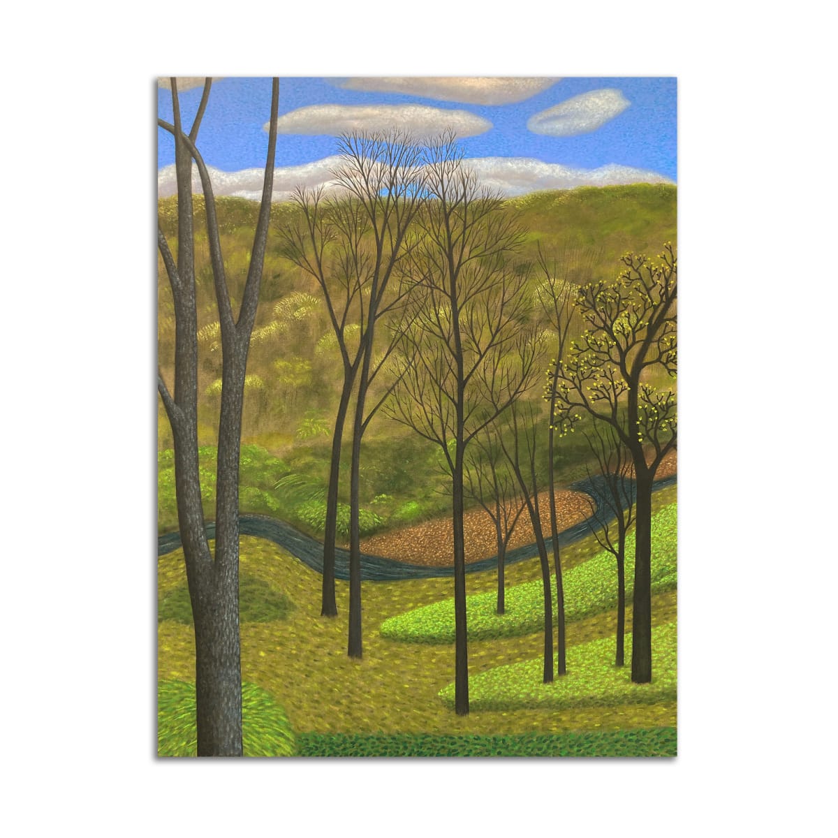 Early Spring Creek by Jane Troup 