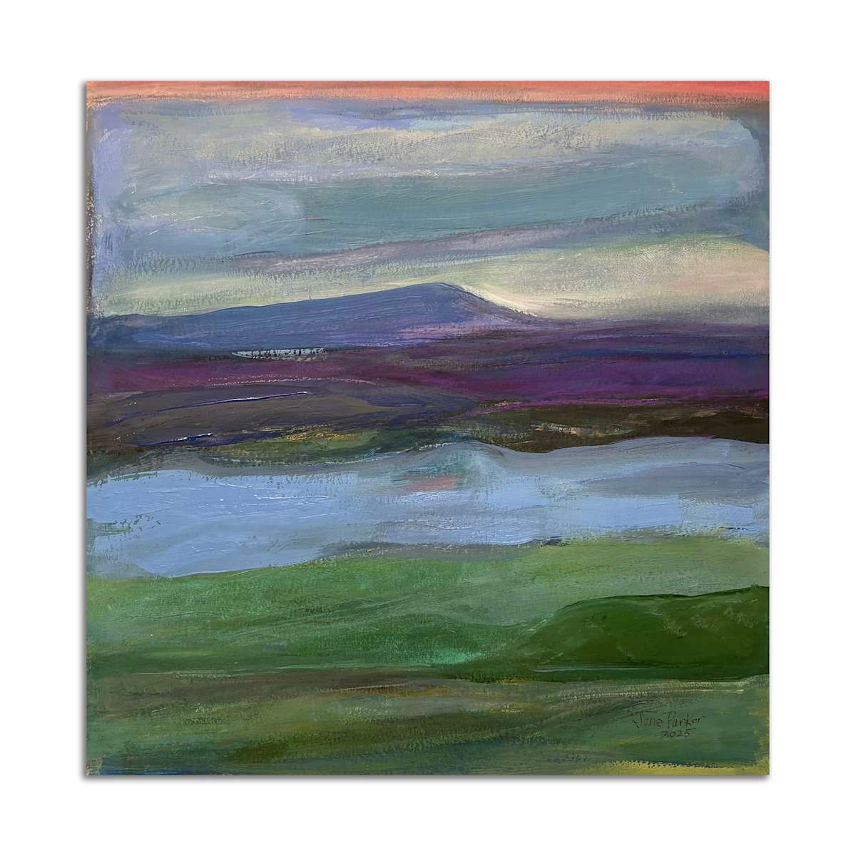 Estaury by Jane Parker 