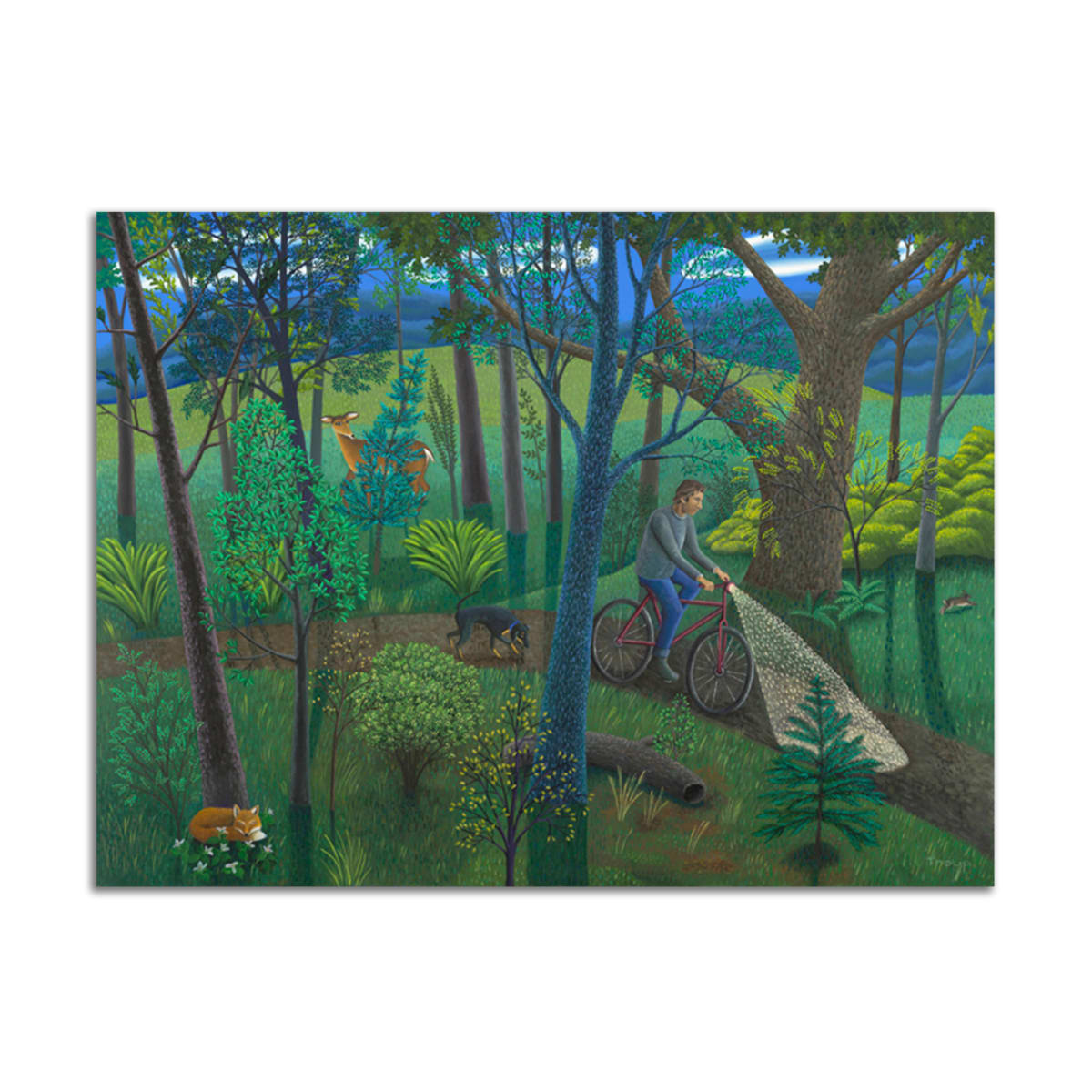 Evening Ride by Jane Troup 