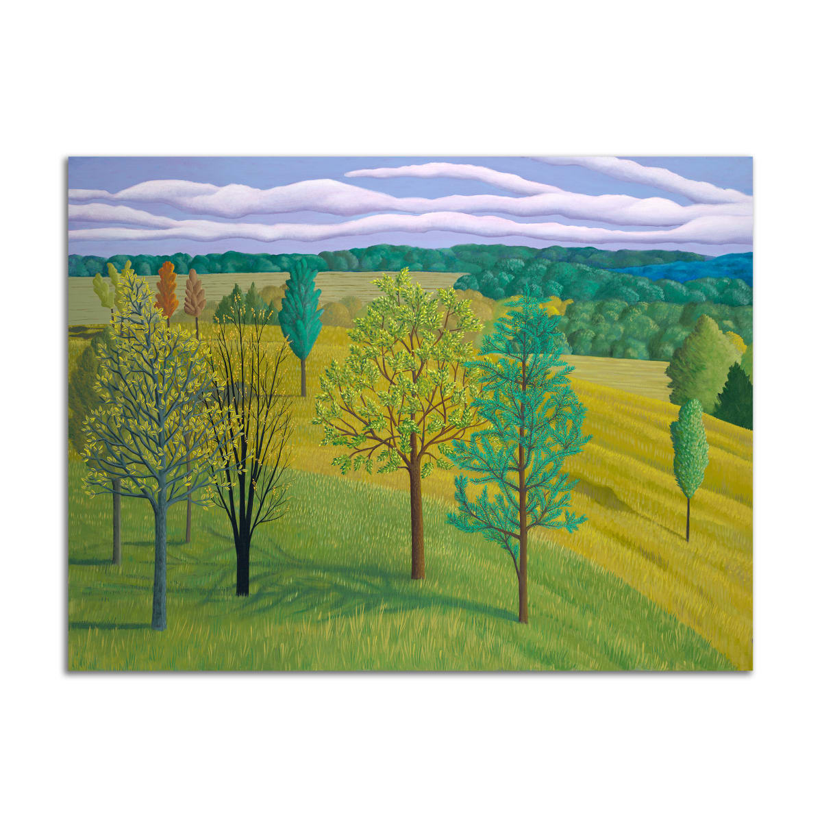 Falling Field by Jane Troup, Image 1.