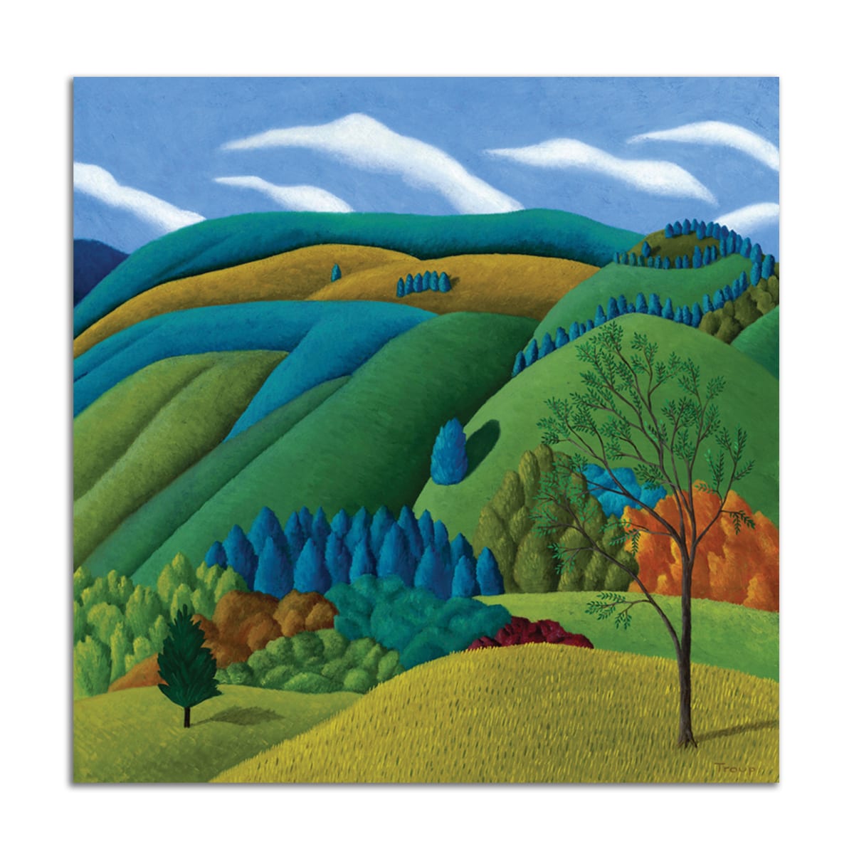 Fields and Mountains by Jane Troup 