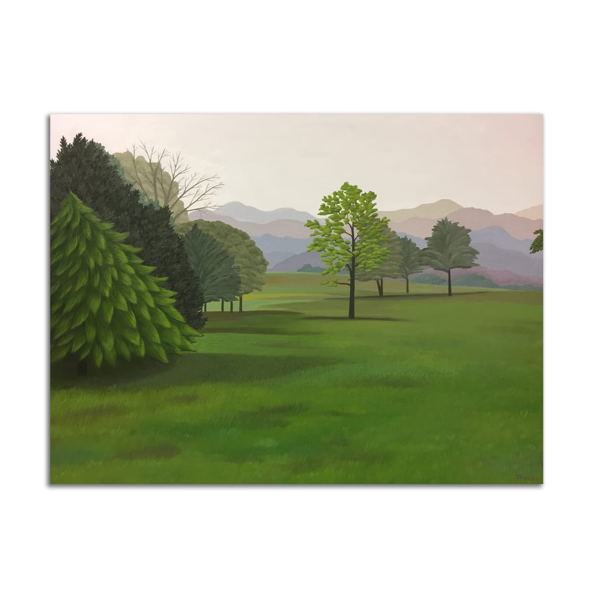 Field in Morning by Jane Troup 