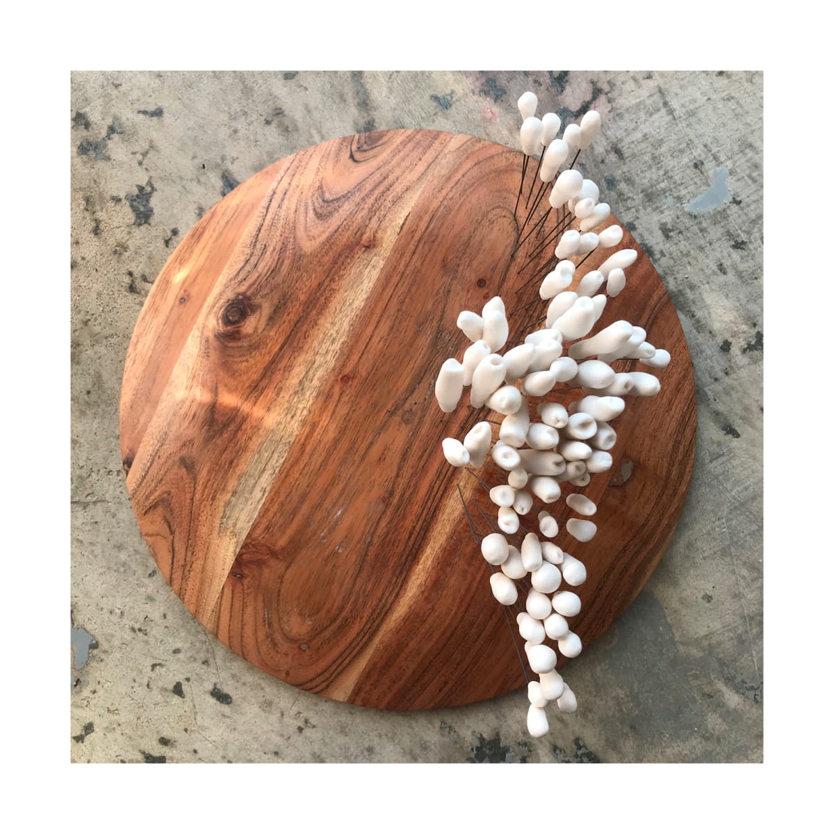 Porcelain Touchscape:  Forest Floor by Lillian Fitzpatrick, Image 2.