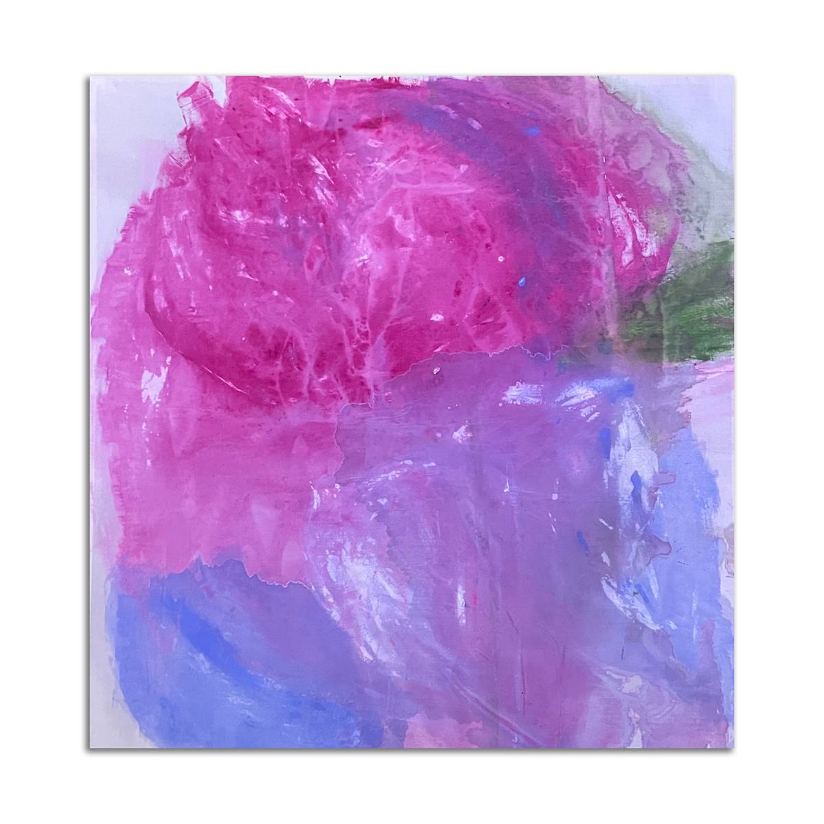 Floral (Cosmic) Palimpsest II by Meganne Rosen 