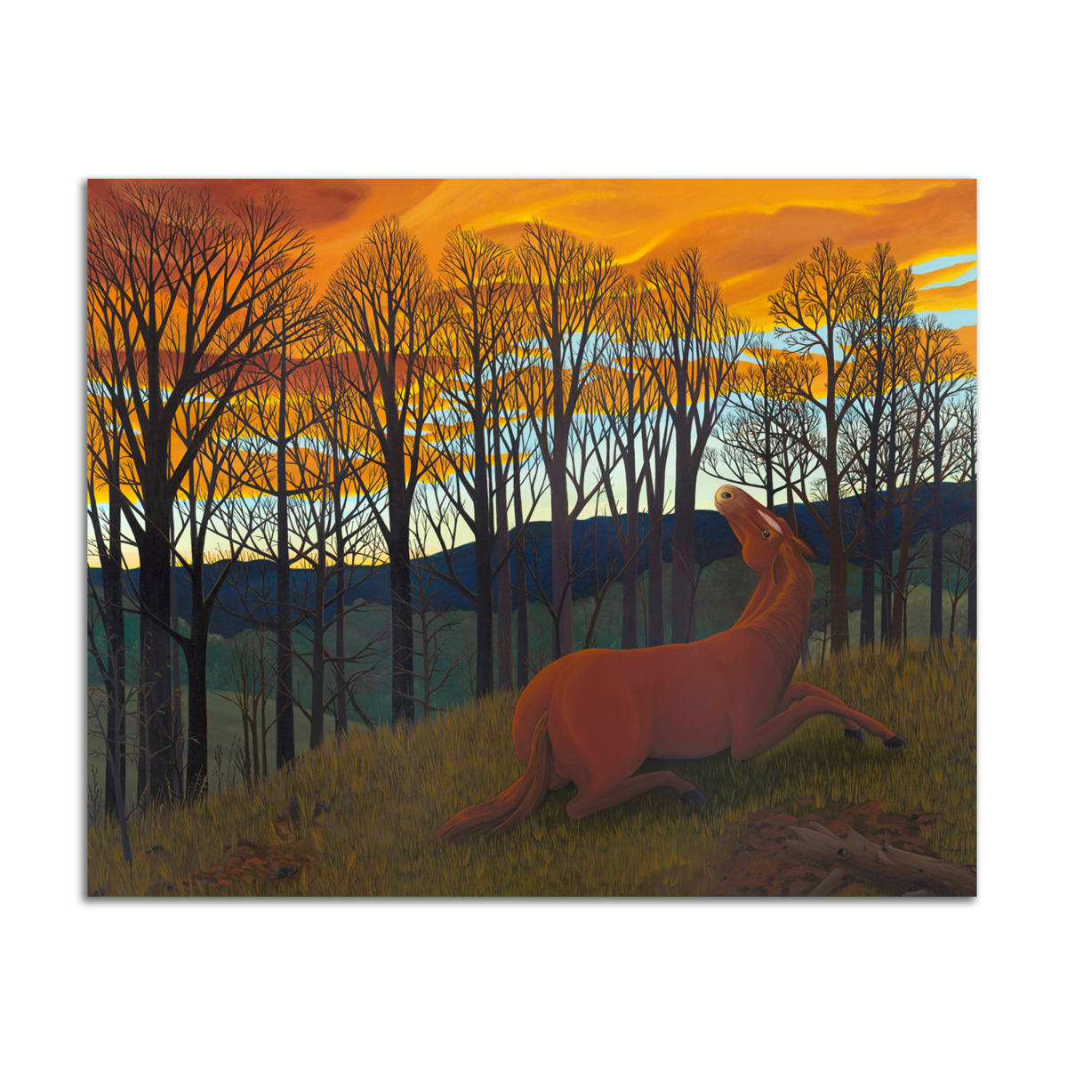 Horse and Sunset by Jane Troup 