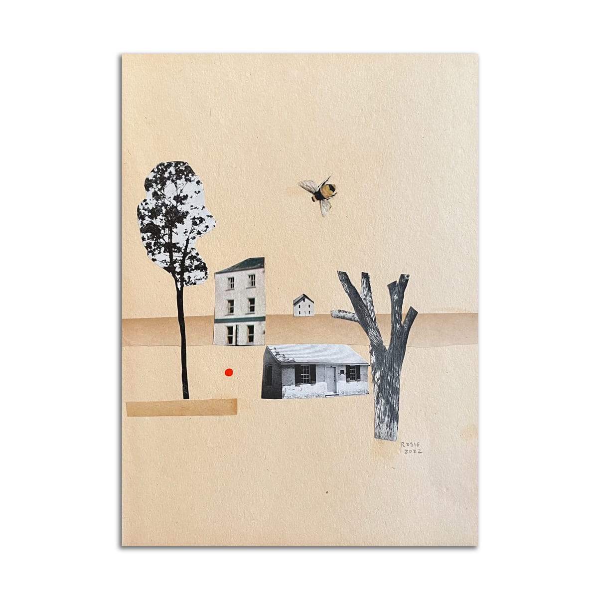 Houses by Rosie Winstead 