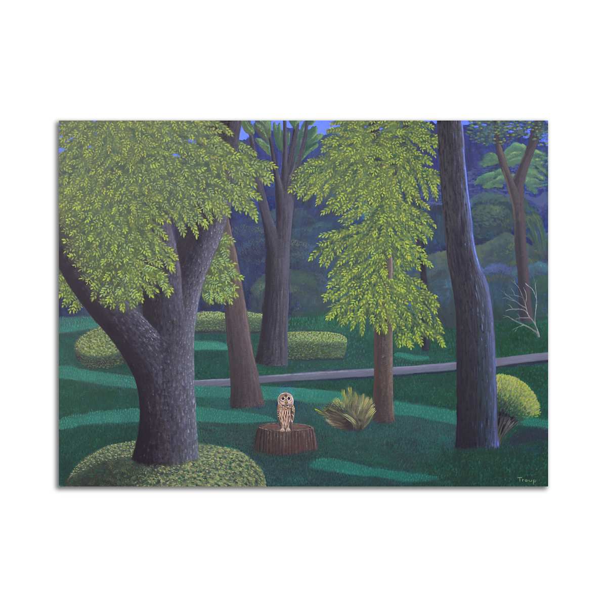 Owl in Woods by Jane Troup 
