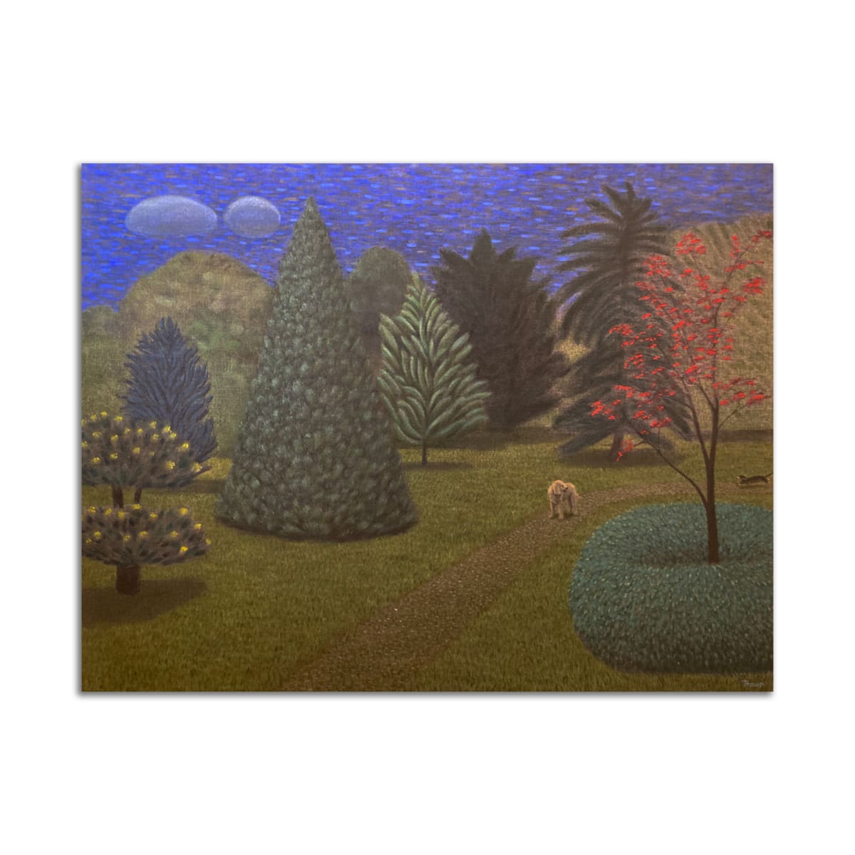 Stroll by Jane Troup 