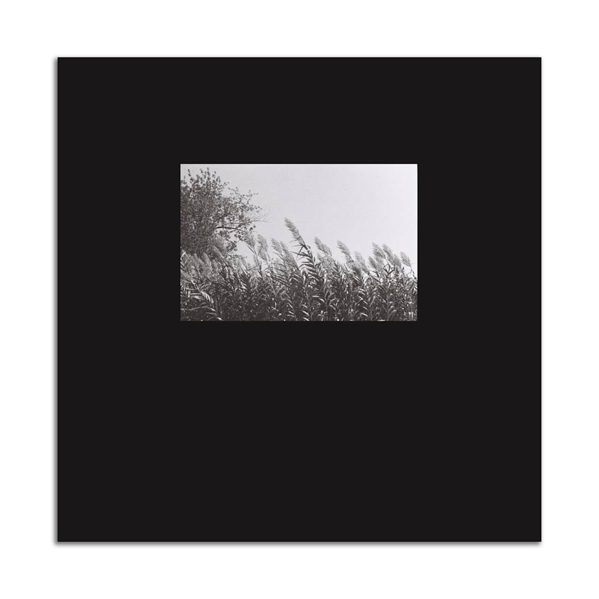 Picture Window by Jesse Tyler 