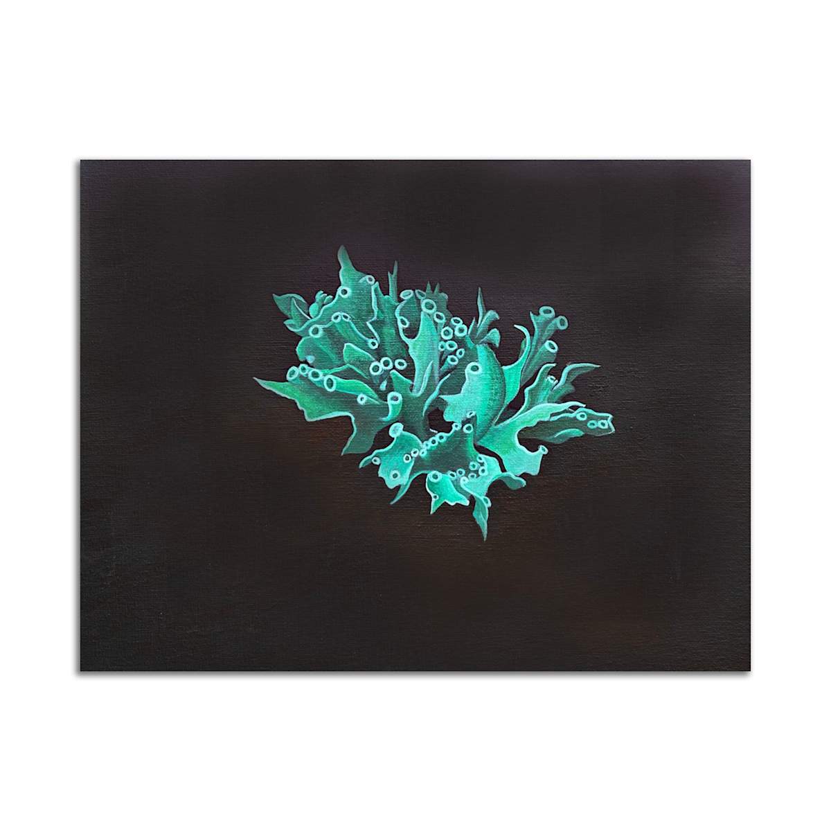 Lichen by Jane Troup, Image 2.