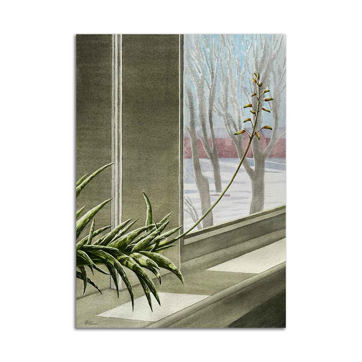 Southern Exposure by Linda Chipperfield, Image 2.