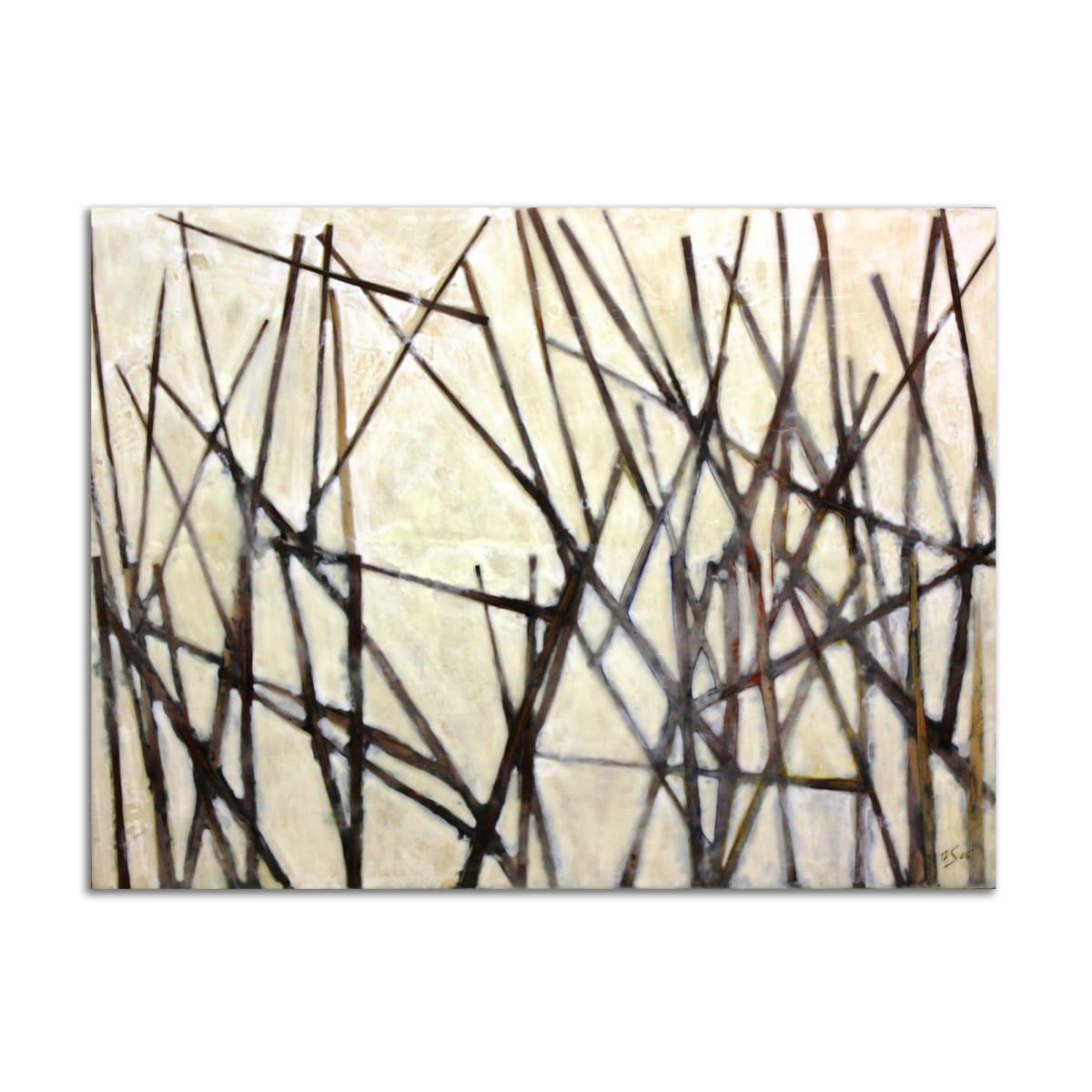 Marsh by TD Scott, Image 1.