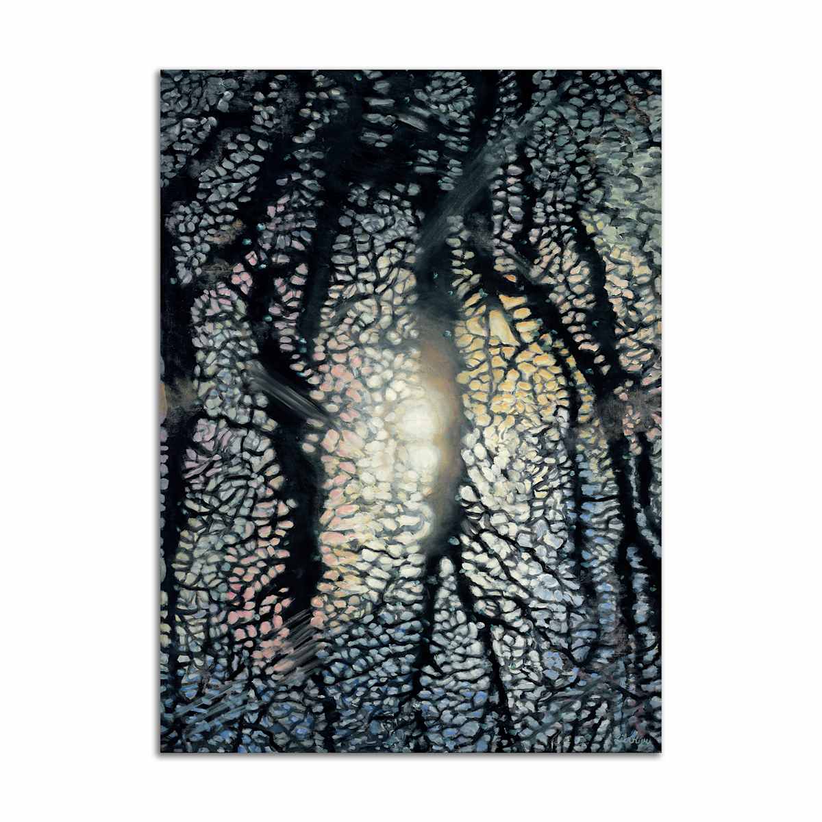 Midnight Rainbow by Lil Olive, Image 1.
