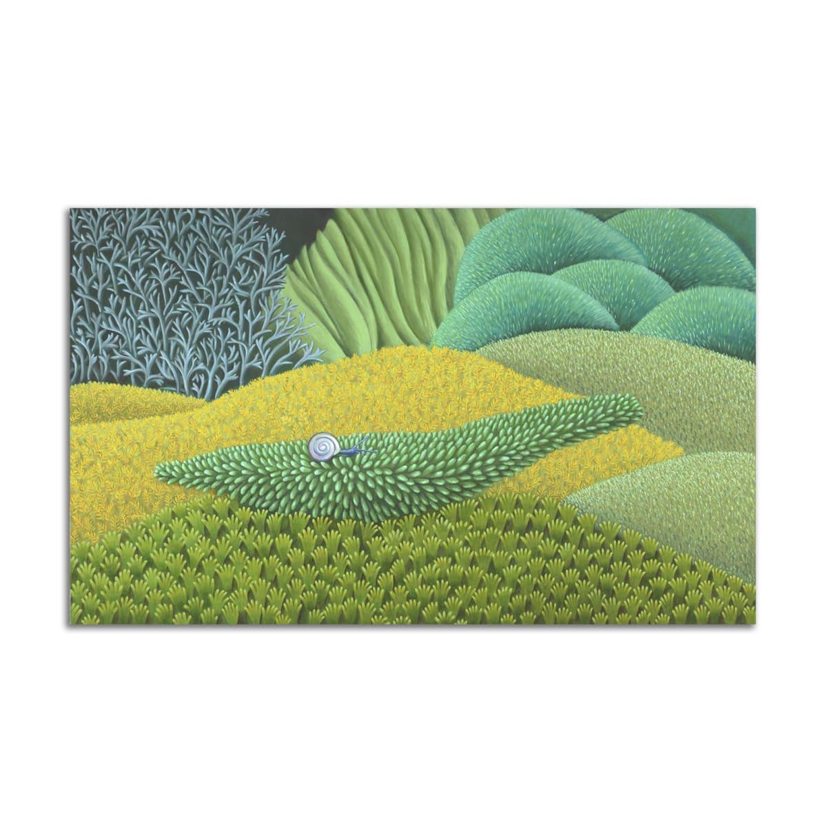 Riding Along The Moss Print by Jane Troup, Image 1.